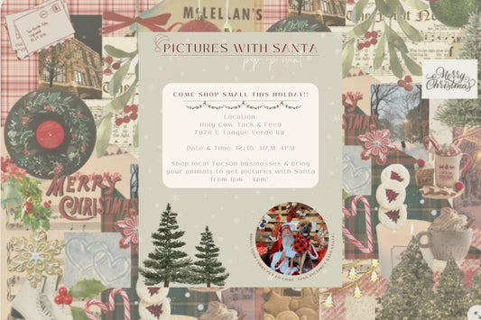 Pictures with Santa Market