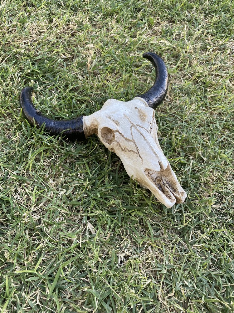faux cattle skull