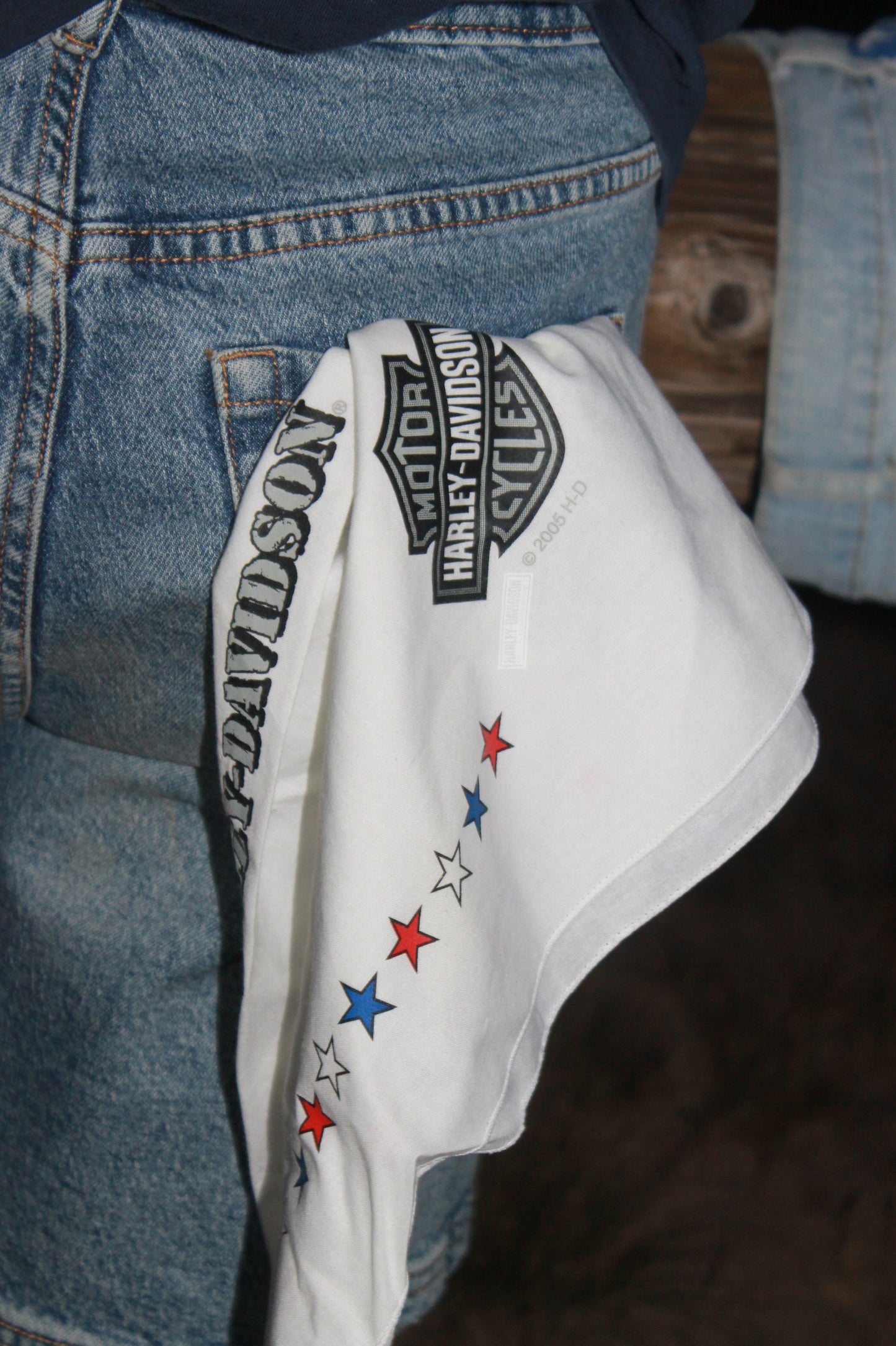 "Harley-Davidson USA" bandana