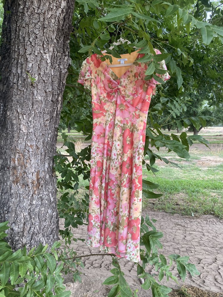 "savannah" dress