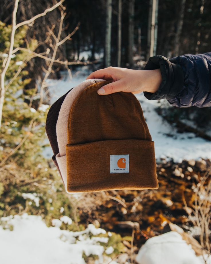 carhartt beanie